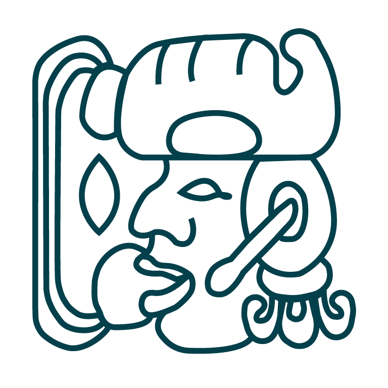 Mayan and indigenous language